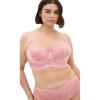 Vintage Rose