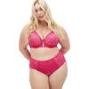 image:imageCity Chic Womens Plus Size Paige Hi BriefAzalea
