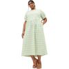 Sage Gingham