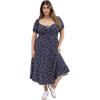 Navy Daisy