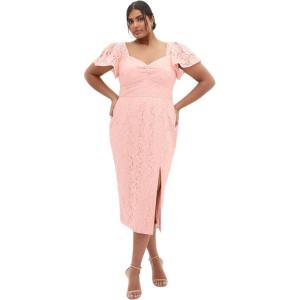 City Chic Women’s Plus Size Cocktail Dress – Maisie Lace Midi(Ballet Pink)