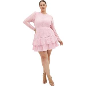 City Chic Women’s Dress – Gabriella Lace(Soft Rose)